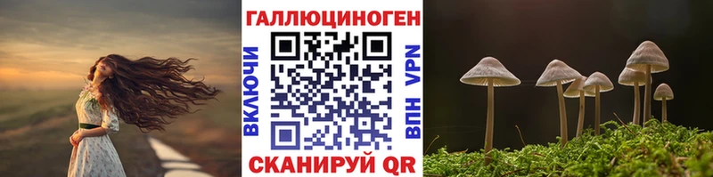 Купить  Великие Луки  Галлюциногенные грибы MAGIC MUSHROOMS 